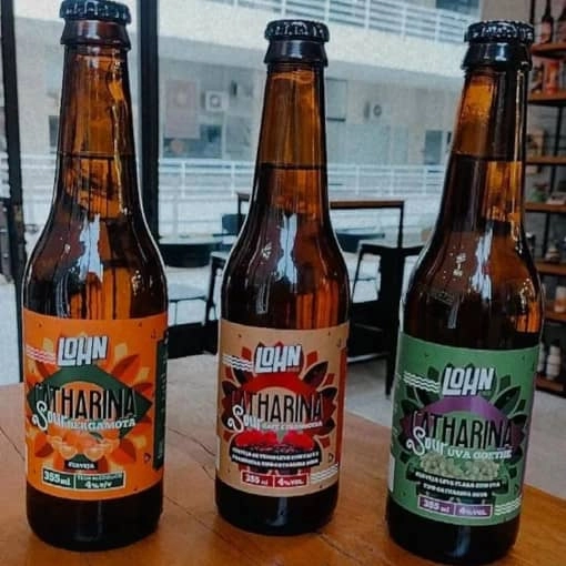 Cervejas Sours Ácidas